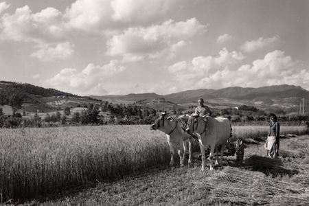 Toscana per immagini